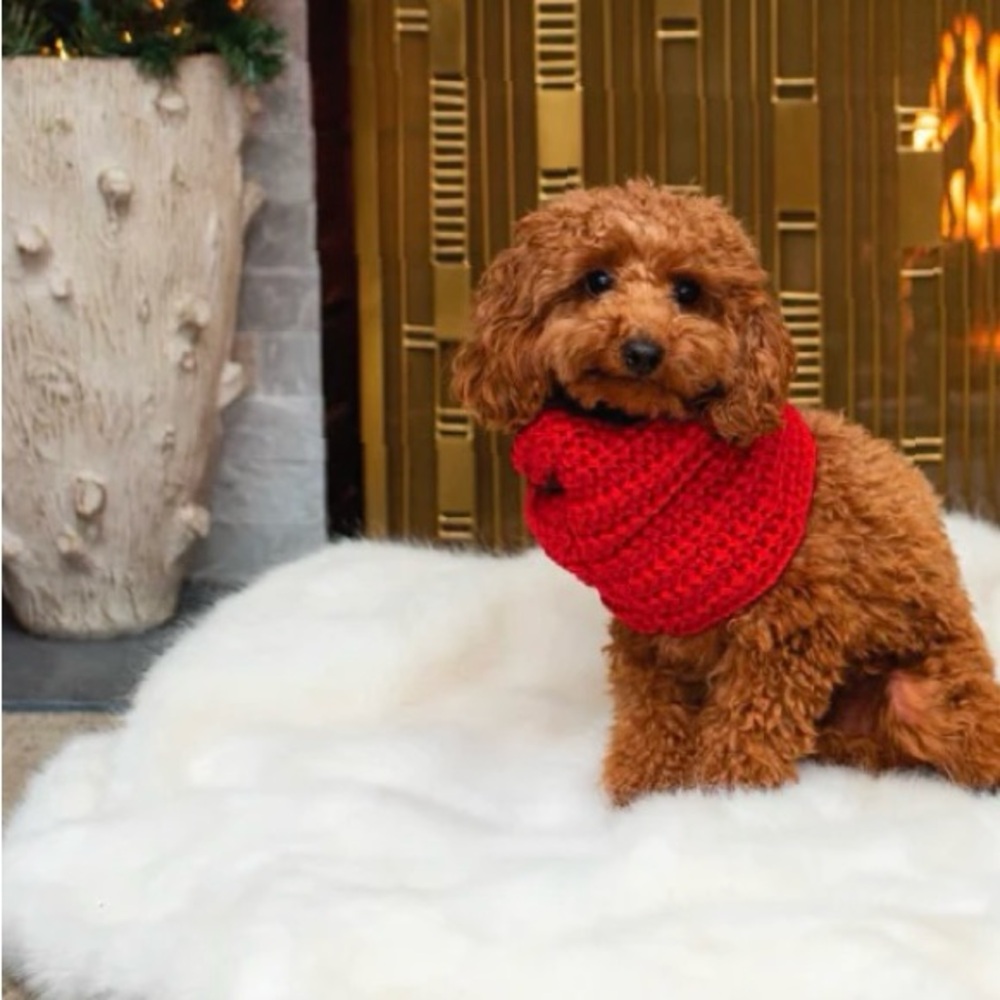 FabDog knit Infinity Scarf